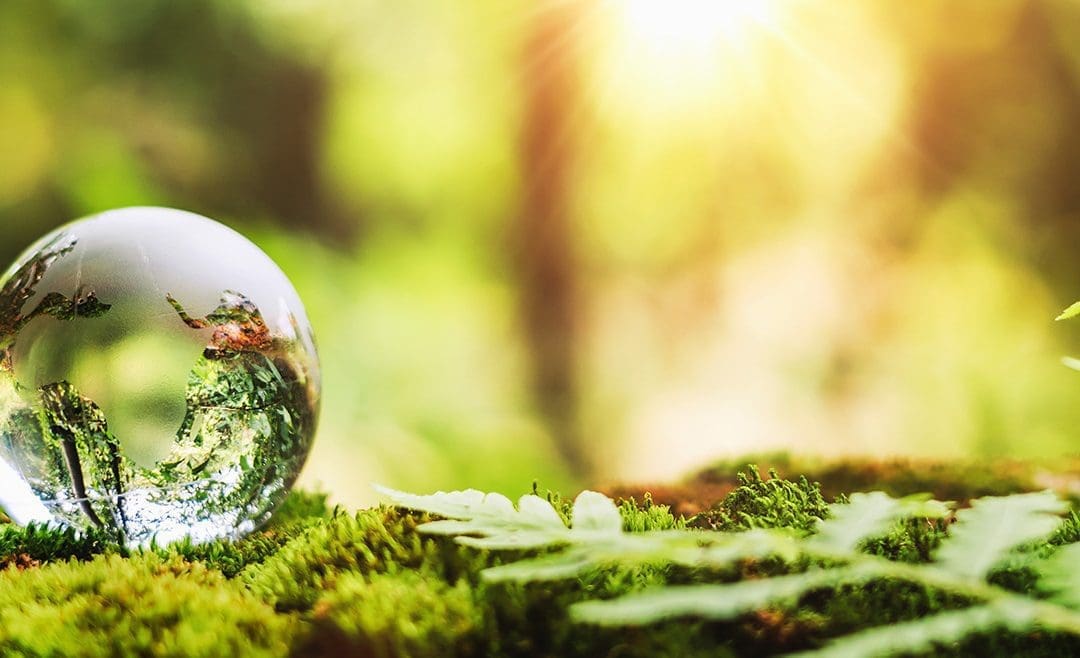 Az erdőgazdálkodási potenciálban okozott erdőkárok megelőzése