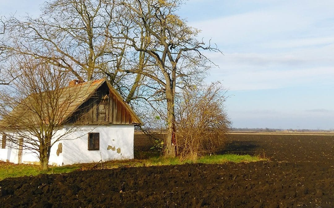 Tanyák Fejlesztése Összefoglaló