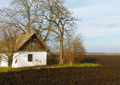 Mezőgazdasági kisüzemek támogatása – LEZÁRULT!