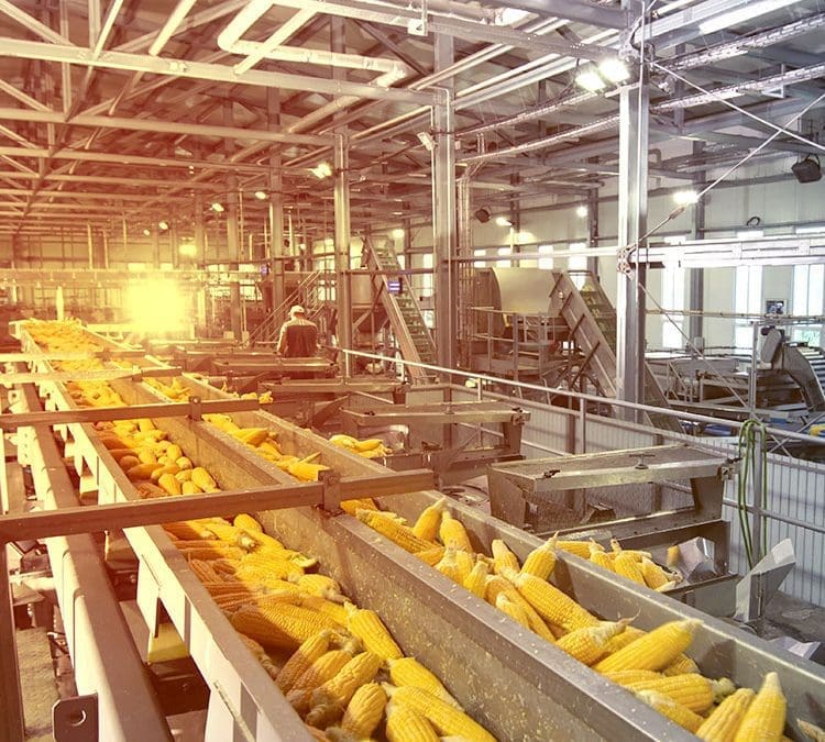 Feldolgozó üzemek komplex fejlesztésének támogatása